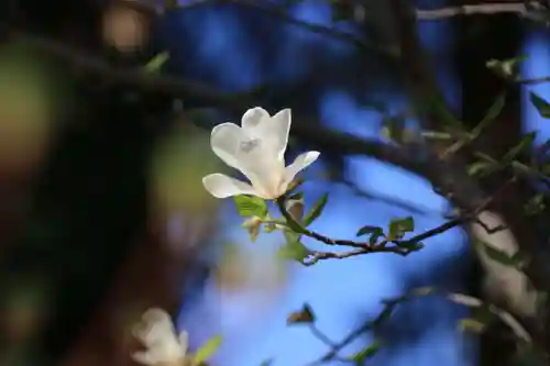 豊景神社の自然