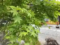 應賀寺(静岡県)