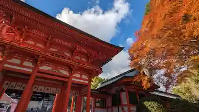 近江神宮(滋賀県)