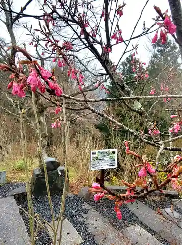 石都々古和気神社(福島県)