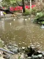 鶴峯山稲荷社(平塚八幡宮境内社)(神奈川県)