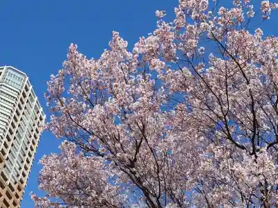 東京大神宮(東京都)