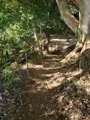 高幡不動尊　金剛寺の自然