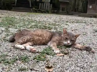 當麻山口神社(奈良県)