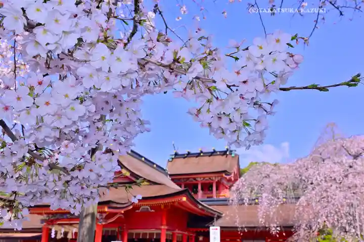 富士山本宮浅間大社(静岡県)