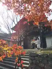 二尊院の山門