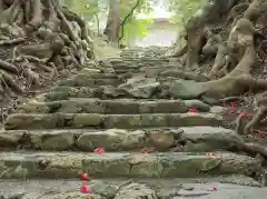 須須神社金分宮の建物その他