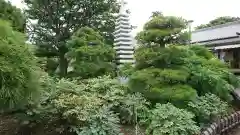 龍華寺の塔