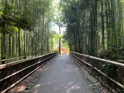 野宮神社の周辺