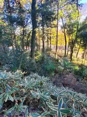 浅間神社（千駄塚）(栃木県)
