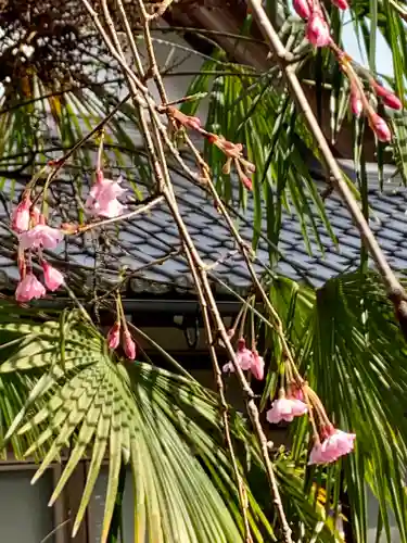 牟禮山観音禅寺の自然