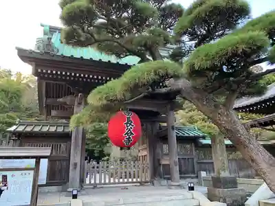 長谷寺の山門・神門