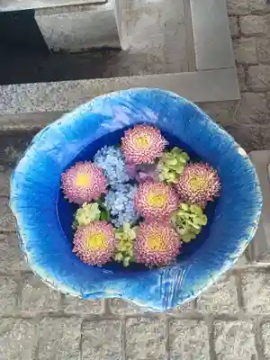 川越八幡宮(埼玉県)