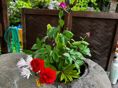 西光寺(埼玉県)