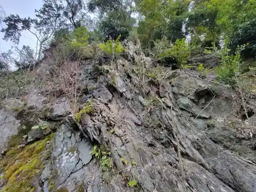 興聖寺（興聖寶林禅寺）(京都府)