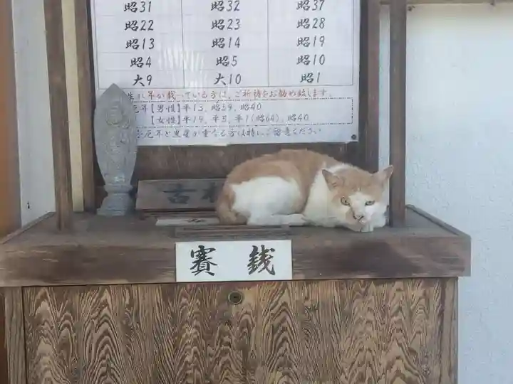 宝寿院(愛知県)