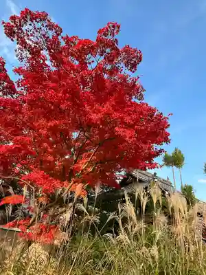 源光庵(京都府)