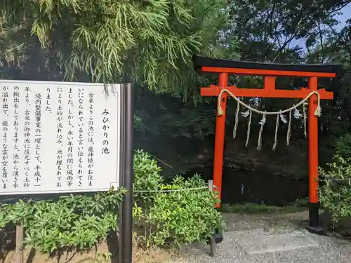 鷲宮神社の鳥居