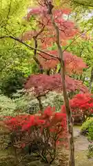 華厳寺（鈴虫寺）(京都府)