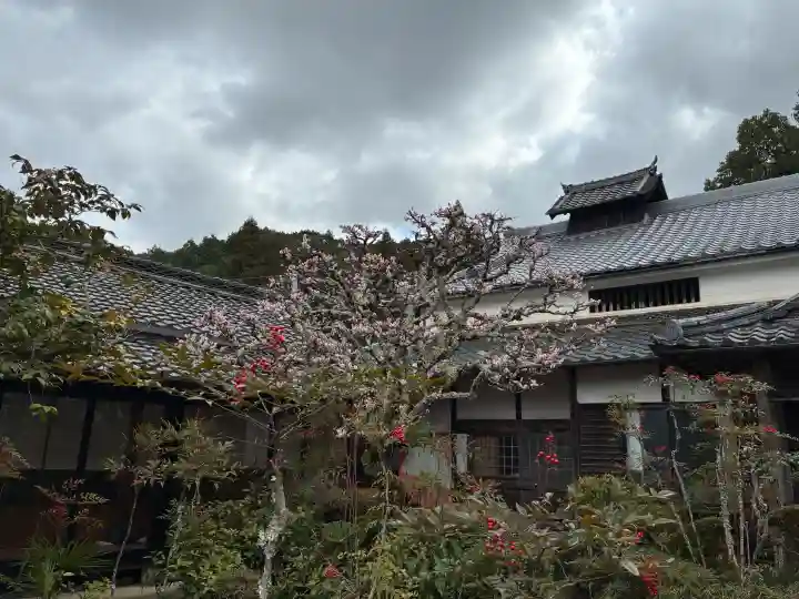聖林寺の{uncategorized: "未分類", other: "その他", undefined: "問題あり", building: "その他建物", grave: "お墓", sacred_gate: "鳥居", guardian: "狛犬", statue: "像", buddha: "仏像", history: "歴史", nature: "自然", garden: "庭園", animal: "動物", pagoda: "塔", temizu: "手水舎", mountain_gate: "山門・神門", sanctuary: "本殿・本堂", subordinate: "末社・摂社", art: "芸術", scenery: "景色", jizo: "地蔵", ema: "絵馬", goshuin: "御朱印", omikuji: "おみくじ", items: "授与品その他", amulet: "お守り", goshuincho: "御朱印帳", eats: "食事", festival: "お祭り", votive_dance: "神楽", shichigosan: "七五三参", wedding: "結婚式", experience: "体験その他", initially: "初詣", around: "周辺", anti_infection: "感染症対策"}