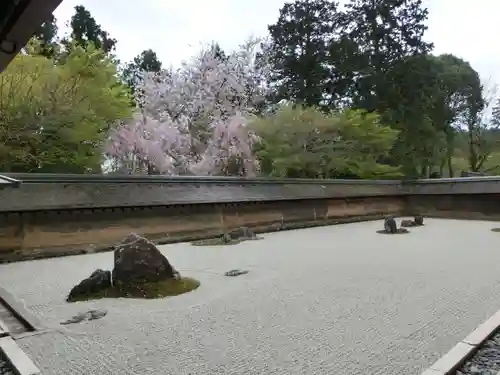 龍安寺の庭園