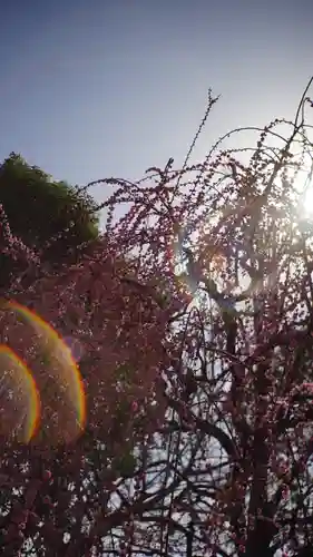 城南宮(京都府)