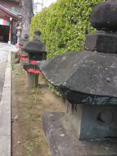 龍光寺(東京都)