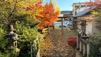 鸕鷀神社(京都府)