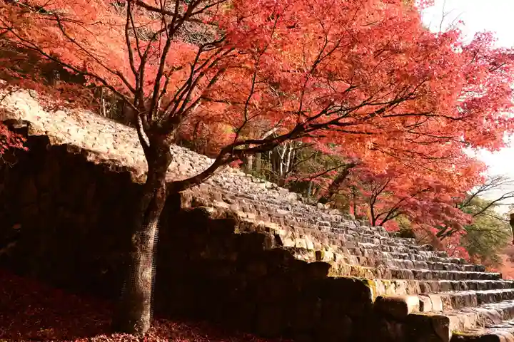 神護寺(京都府)