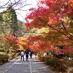 二尊院(京都府)