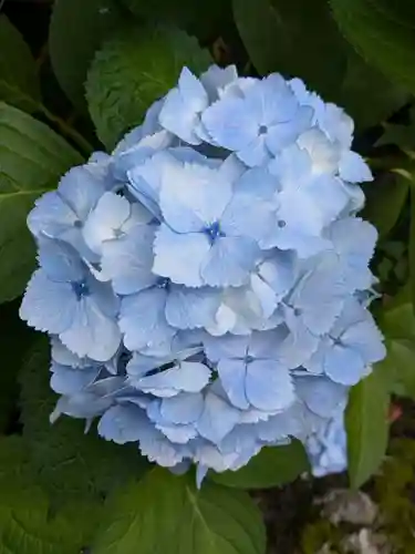 本土寺(千葉県)