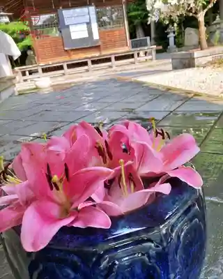 立志神社(滋賀県)