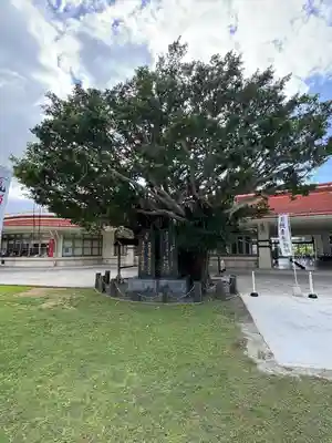 沖縄県護国神社(沖縄県)