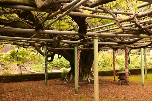 西寒多神社(大分県)