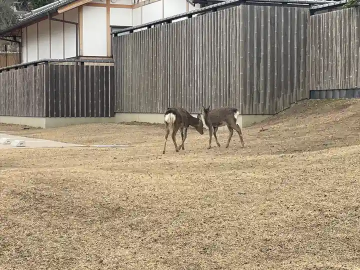 東大寺戒壇院戒壇堂(奈良県)