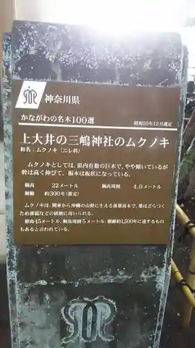 三嶋神社のその他建物