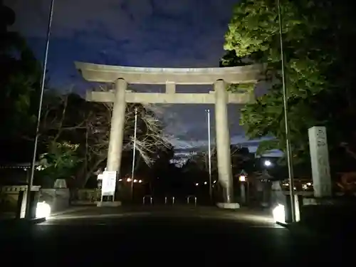 愛知縣護國神社の鳥居