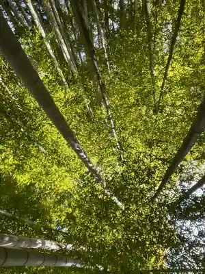 報国寺の{uncategorized: "未分類", other: "その他", undefined: "問題あり", building: "その他建物", grave: "お墓", sacred_gate: "鳥居", guardian: "狛犬", statue: "像", buddha: "仏像", history: "歴史", nature: "自然", garden: "庭園", animal: "動物", pagoda: "塔", temizu: "手水舎", mountain_gate: "山門・神門", sanctuary: "本殿・本堂", subordinate: "末社・摂社", art: "芸術", scenery: "景色", jizo: "地蔵", ema: "絵馬", goshuin: "御朱印", omikuji: "おみくじ", items: "授与品その他", amulet: "お守り", goshuincho: "御朱印帳", eats: "食事", festival: "お祭り", votive_dance: "神楽", shichigosan: "七五三参", wedding: "結婚式", experience: "体験その他", initially: "初詣", around: "周辺", anti_infection: "感染症対策"}