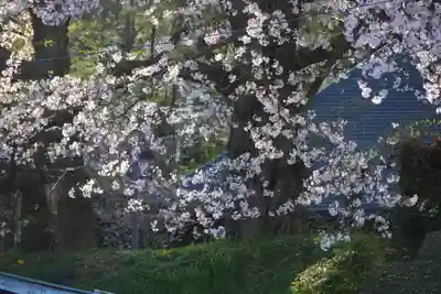 龍穏院の自然
