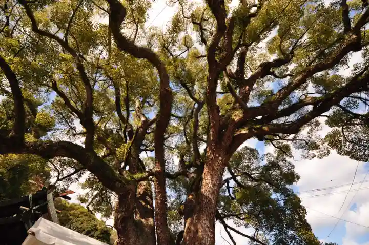 艮神社(広島県)