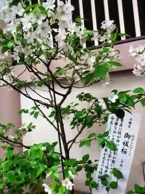 十番稲荷神社(東京都)