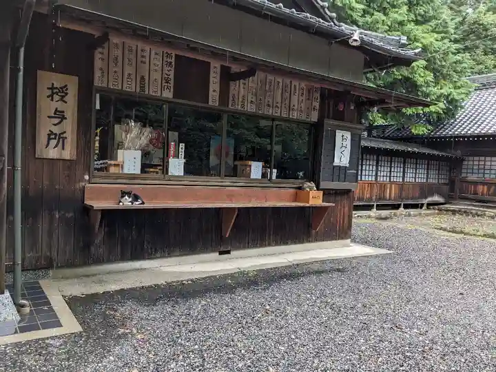 八幡社(柏井町)の動物