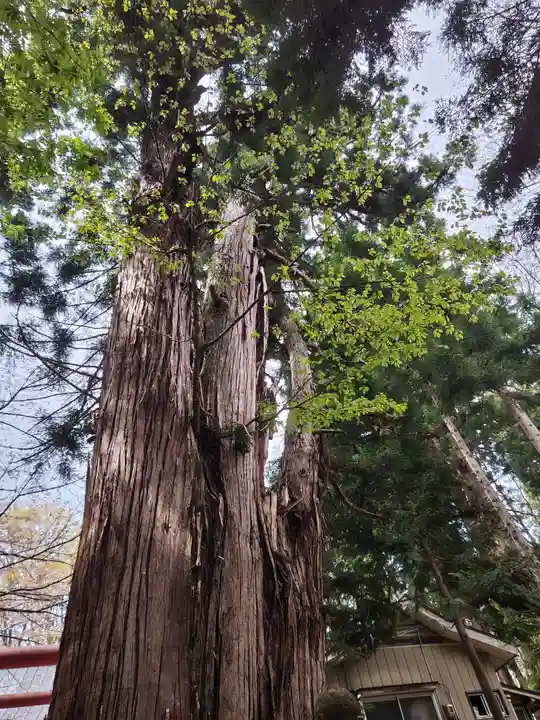 磐椅神社(福島県)