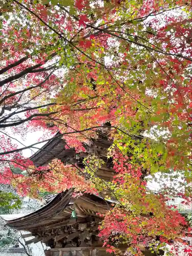 新海三社神社(長野県)