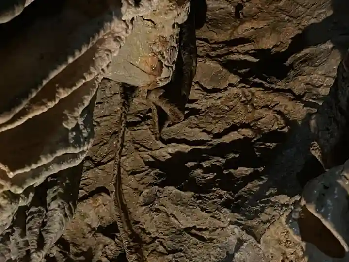 龍王神社(高知県)