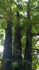 玉敷神社(埼玉県)