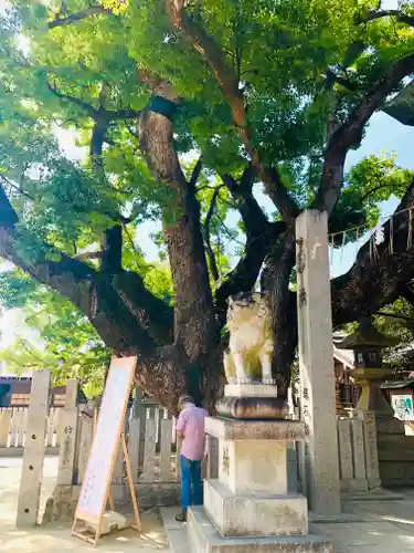 石切劔箭神社(大阪府)