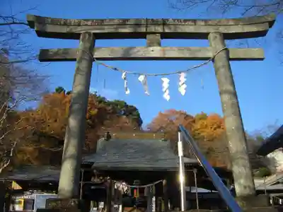 賀茂別雷神社の鳥居