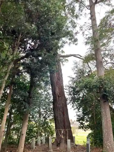 南宮神社(千葉県)