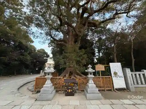 和泉國一之宮　大鳥大社(大阪府)